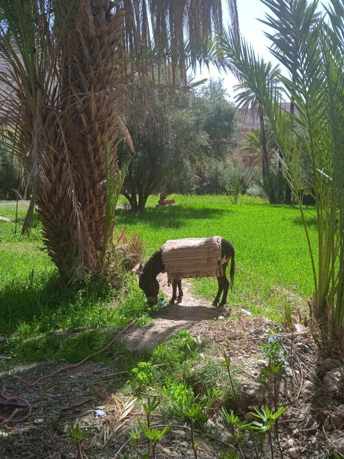 Hotel Dar Jamila Achbarou Zewnętrze zdjęcie